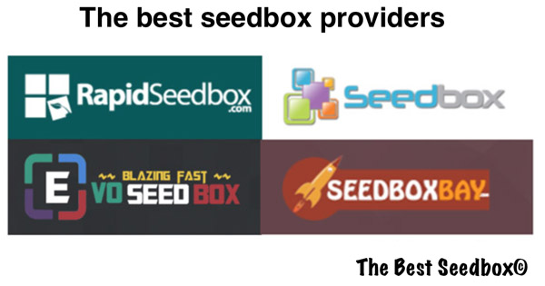 The best seedbox providers