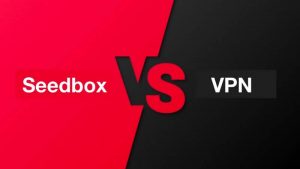 Seedbox or VPN